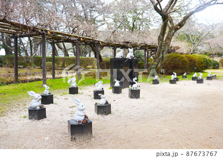 島根県出雲市「出雲大社 うさぎ 」 島根県出雲市「出雲大社 うさぎ 」 87673767