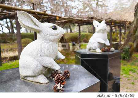 島根県出雲市「出雲大社 うさぎ 」 87673769