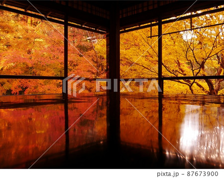 京都・紅葉の瑠璃光院 京都・紅葉の瑠璃光院 87673900