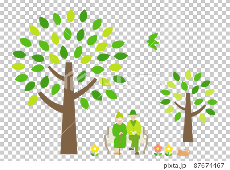 Park bench senior couple tree Park bench senior couple tree 87674467