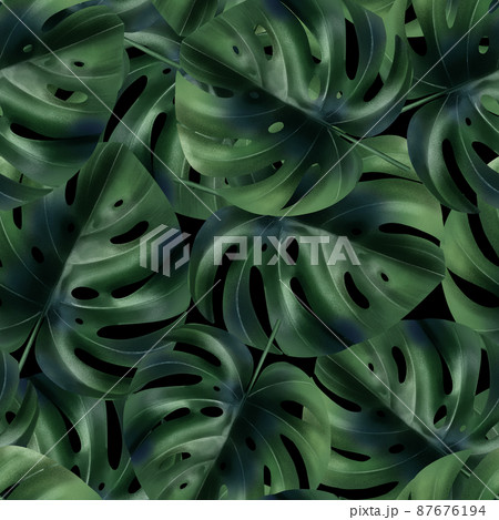 Tropical leaves, jungle monstera leaf seamless pattern. Floral background. 87676194