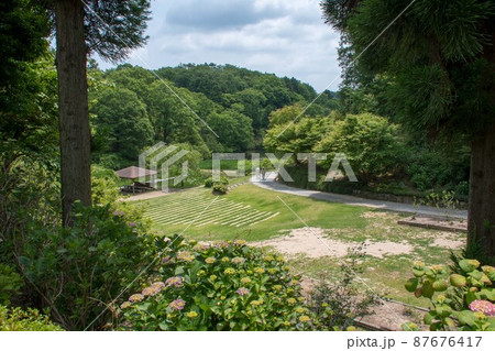 広島県三原市本郷町 三景園の紫陽花園と菖蒲田 広島県三原市本郷町 三景園の紫陽花園と菖蒲田 87676417