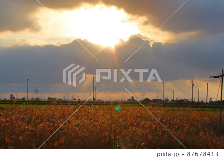 景色 風景 夕日 87678413