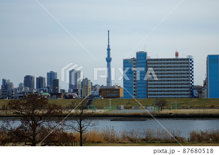 空が広がる川の手住宅街と東京スカイツリー 空が広がる川の手住宅街と東京スカイツリー 87680518