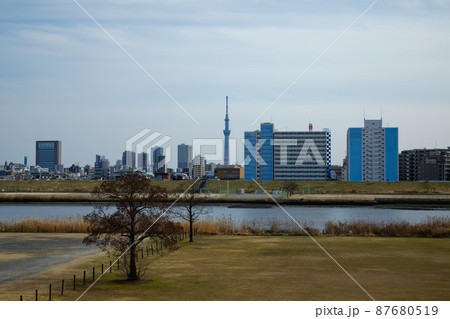 空が広がる川の手住宅街と東京スカイツリー 空が広がる川の手住宅街と東京スカイツリー 87680519