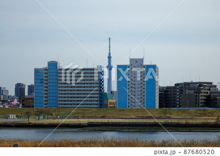 空が広がる川の手住宅街と東京スカイツリー 空が広がる川の手住宅街と東京スカイツリー 87680520
