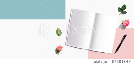 Blank open notebook with a pen from above Blank open notebook with a pen from above 87681347