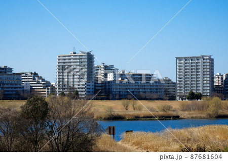 荒川の川原よりハードアイランドの住宅街を望む 87681604