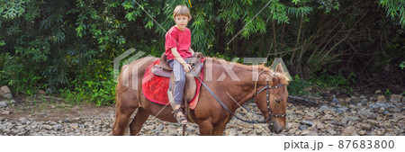 Beautiful woman riding a horse in countryside BANNER, LONG FORMAT 87683800