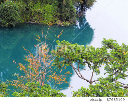 南投 プーリー 埔里 87685109