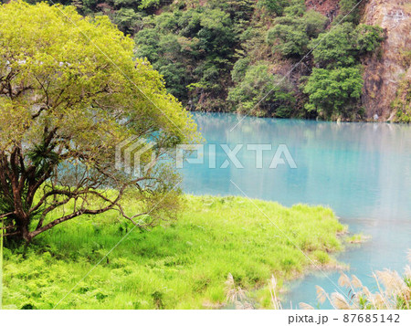 南投 プーリー 埔里 87685142