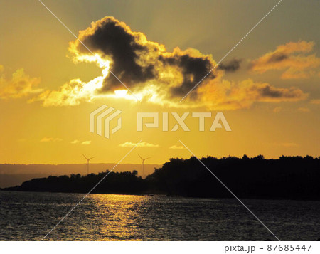 屏東 牡丹 ぼたん 87685447