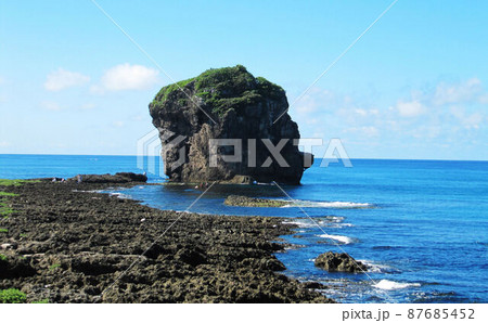 屏東 牡丹 ぼたん 87685452