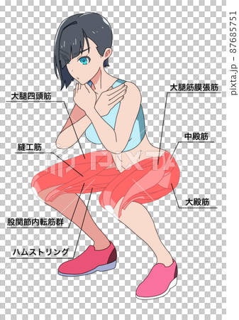 スクワットをする女性と筋肉の名称（日本語） 87685751