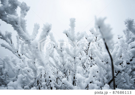 雪山 雪山 87686113