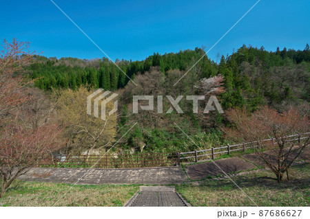 《島根県》県立自然公園 鬼の舌震の風景【4月】 87686627