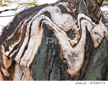 観光 見物 遊覧 87686774