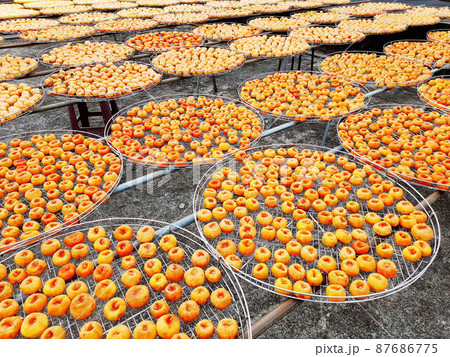 観光 見物 遊覧 87686775