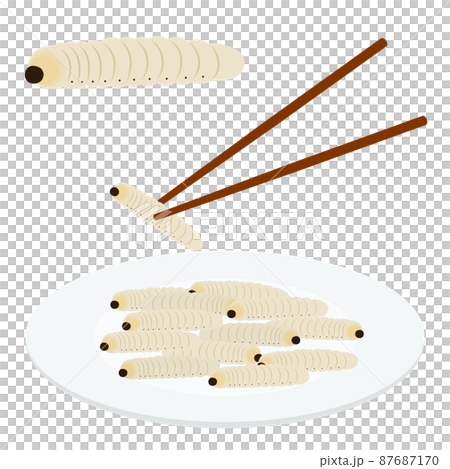 Illustration of longhorn beetle larvae 87687170