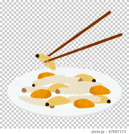 Illustration of edible larvae and pupae on a plate Illustration of edible larvae and pupae on a plate 87687173