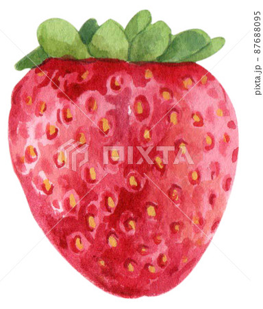 Strawberry harvest and decor watercolor png icon Strawberry harvest and decor watercolor png icon 87688095