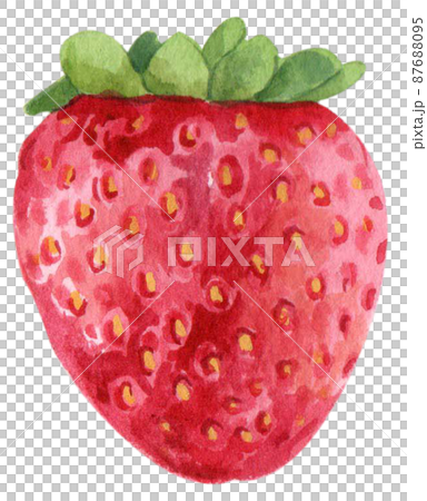 Strawberry harvest and decor watercolor png icon Strawberry harvest and decor watercolor png icon 87688095