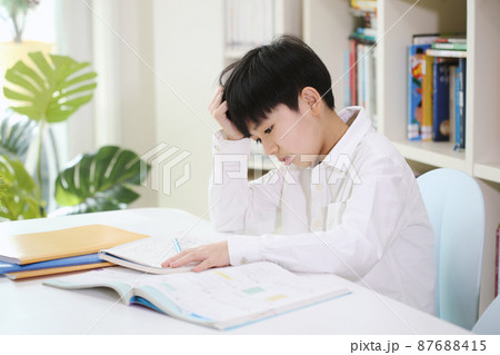 勉強 宿題 小学生 87688415