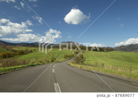 大草原の道 大草原の道 87689077