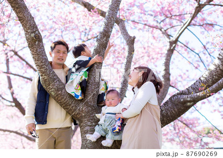 家族写真 花見 家族写真 花見 87690269