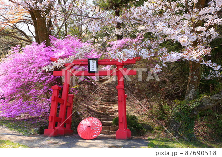 あきる野市 網代弁天山 桜 あきる野市 網代弁天山 桜 87690518
