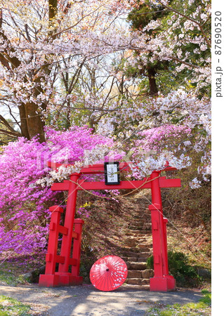 あきる野市 網代弁天山 桜 あきる野市 網代弁天山 桜 87690520
