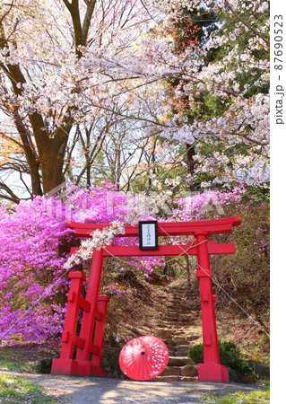 あきる野市 網代弁天山 桜 あきる野市 網代弁天山 桜 87690523