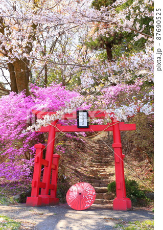 あきる野市 網代弁天山 桜 あきる野市 網代弁天山 桜 87690525