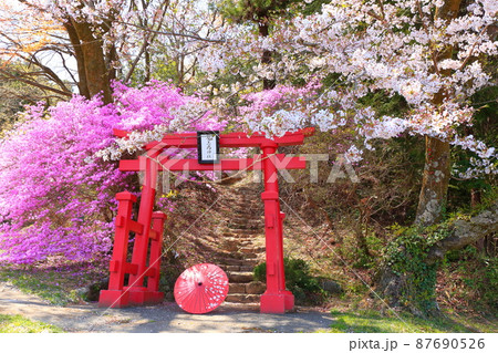 あきる野市 網代弁天山 桜 あきる野市 網代弁天山 桜 87690526