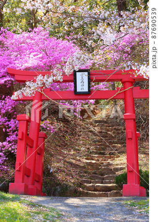 あきる野市 網代弁天山 桜 あきる野市 網代弁天山 桜 87690539
