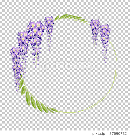 Wisteria flowers Spring flowers Summer flowers Frame watercolor illustration 87690782