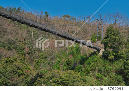 《島根県》県立自然公園 鬼の舌震の風景【4月】 87690914