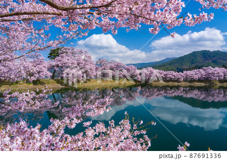【長野県の絶景】春爛漫の六道の堤 87691336