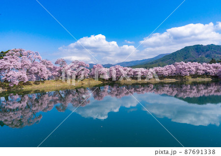 【長野県の絶景】春爛漫の六道の堤 【長野県の絶景】春爛漫の六道の堤 87691338