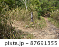 六甲山系杣谷と山寺尾根分岐 87691355