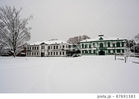 国立工芸館の雪景色 国立工芸館の雪景色 87691383
