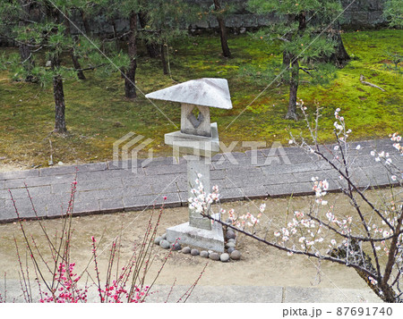 三角形の石灯籠と紅白の梅の花 三角形の石灯籠と紅白の梅の花 87691740
