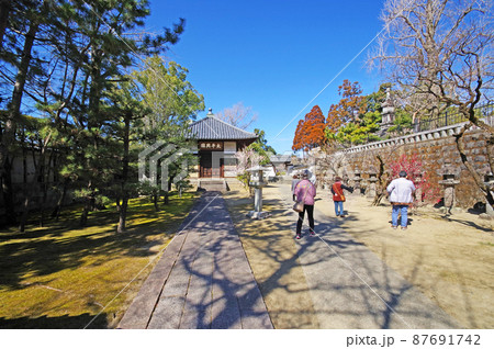 梅の名所久留米市にある臨済宗の梅林寺境内 梅の名所久留米市にある臨済宗の梅林寺境内 87691742