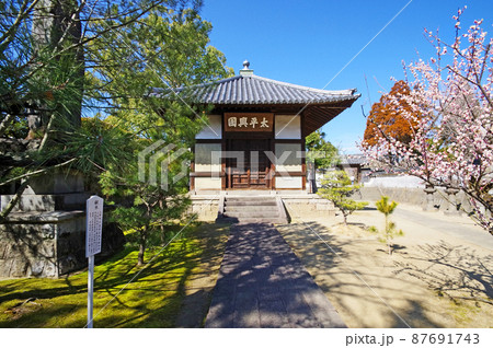 梅の名所久留米市の臨済宗梅林寺経蔵と梅 87691743