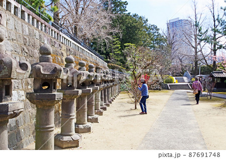 梅の名所久留米市の臨済宗梅林寺の石灯篭群 87691748