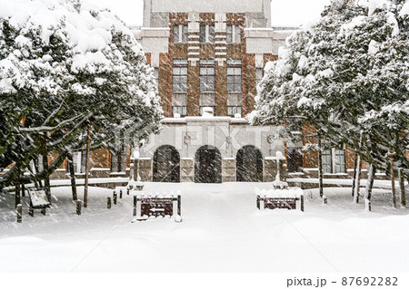 しいのき迎賓館の雪景色 しいのき迎賓館の雪景色 87692282