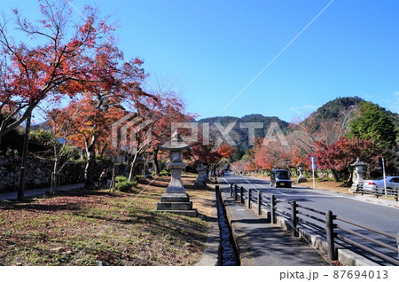 日吉馬場　日吉大社参道（滋賀県大津市） 87694013