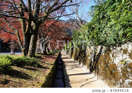 日吉馬場と穴太衆積みの石垣（滋賀県大津市） 87694018