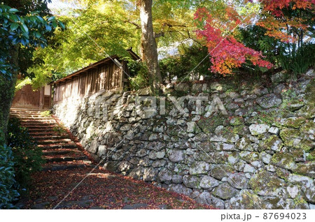 穴太衆積みの石垣と紅葉(滋賀県大津市) 穴太衆積みの石垣と紅葉(滋賀県大津市) 87694023