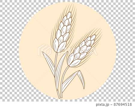 Illustration with the image of wheat 87694518